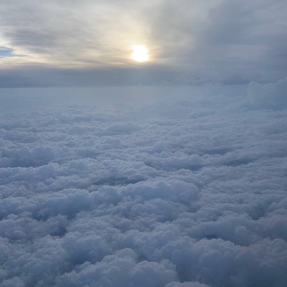 Meet your Posher, Tara - Picture 3 of 3